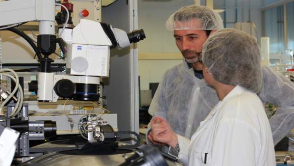 Un nou dispositiu portàtil podrà detectar en 10 minuts malalties infeccioses en granges porcines Un nou dispositiu portàtil podrà detectar en 10 minuts malalties infeccioses en granges porcines