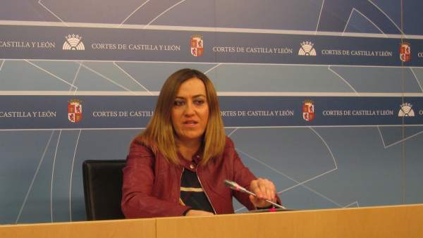 La viceportavoz del Grupo Socialista en las Cortes, Virginia Barcones La viceportavoz del Grupo Socialista en las Cortes, Virginia Barcones