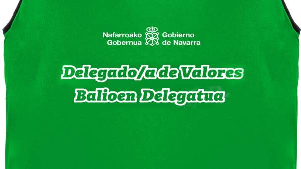 Imagen del peto distintivo del delegado de valores. Imagen del peto distintivo del delegado de valores.