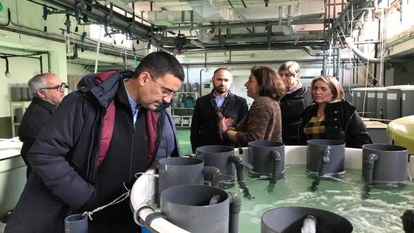 Mario Jiménez, en el Ifapa de Agua del Pino de Cartaya (Huelva). Mario Jiménez, en el Ifapa de Agua del Pino de Cartaya (Huelva).
