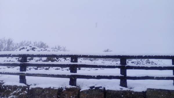 Nieve Nieve