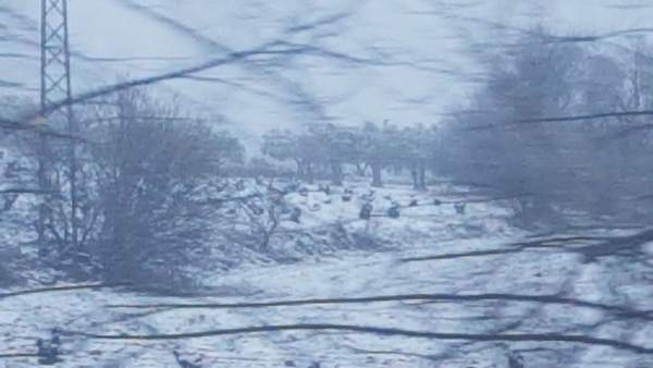 Temporal de nieve. Temporal de nieve.