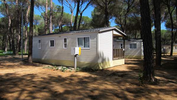 Bungalow en un camping en Doñana. Bungalow en un camping en Doñana.