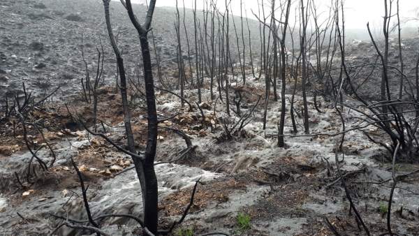 Escorrentías y arrastre de cenizas en la Serra da Meda en Ourense tras incendios Escorrentías y arrastre de cenizas en la Serra da Meda en Ourense tras incendios