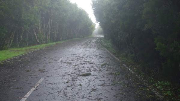 Temporal De Viento Temporal De Viento