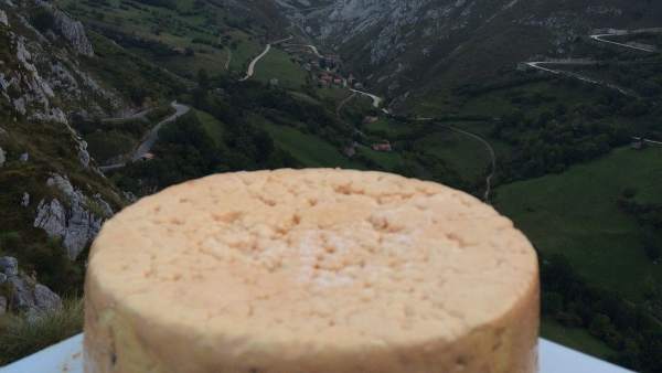 Queso cabrales. Queso cabrales.