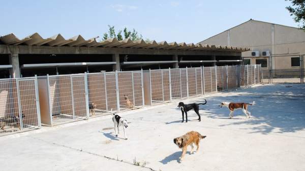 Instalaciones del Centro de Protección Animal de la DPZ en Movera Instalaciones del Centro de Protección Animal de la DPZ en Movera