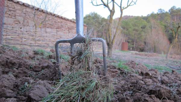 Agricultura, Agrícola, Agro, Campo, Agricultor, Siembra, Sembrar, Huerto, Horca. Agricultura, Agrícola, Agro, Campo, Agricultor, Siembra, Sembrar, Huerto, Horca.