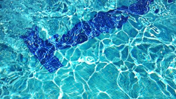 Piscina olímpica, natación, salvavidas Piscina olímpica, natación, salvavidas
