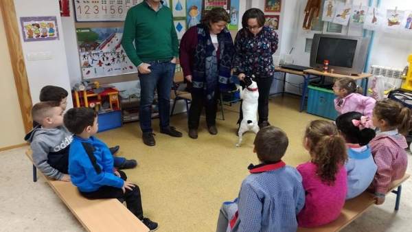 Terapia con perros Terapia con perros