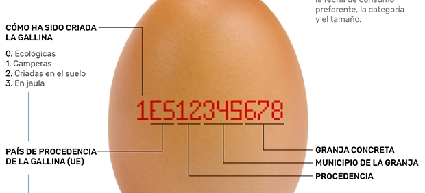 Identificación de huevos
