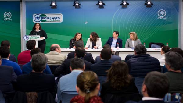 Virginia Pérez ante la Junta Directiva del PP-A. Virginia Pérez ante la Junta Directiva del PP-A.