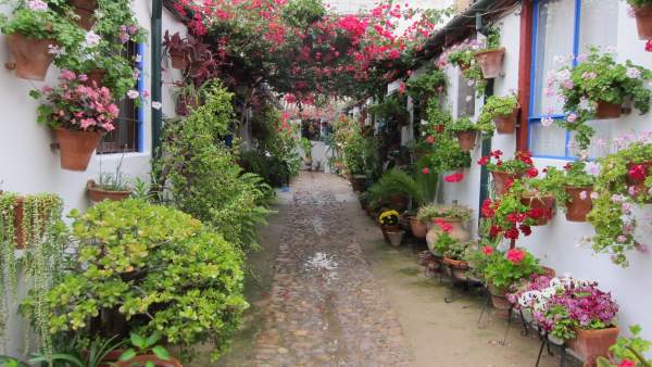 Los patios son un atractivo turístico de Córdoba en distintas épocas del año Los patios son un atractivo turístico de Córdoba en distintas épocas del año