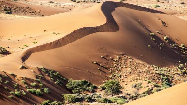 Desierto de Namib Desierto de Namib