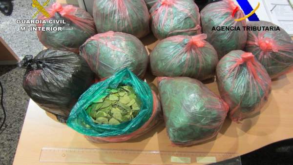 Cocaína requisada en Bilbao Cocaína requisada en Bilbao