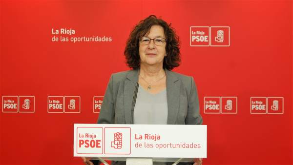 El PSOE registra 17 enmienas para políticas sociales El PSOE registra 17 enmienas para políticas sociales