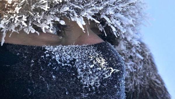 Ojos, frío, nieve, invierno, helado, bufanda Ojos, frío, nieve, invierno, helado, bufanda