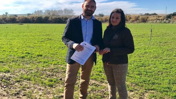 Junta entrega ayudas a jóvenes agricultores en Huelva. Junta entrega ayudas a jóvenes agricultores en Huelva.