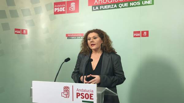 La parlamentaria socialista, Araceli Maese La parlamentaria socialista, Araceli Maese