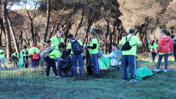 Limpieza de residuos en la zona afectada por el incendio de Las Peñuelas. Limpieza de residuos en la zona afectada por el incendio de Las Peñuelas.