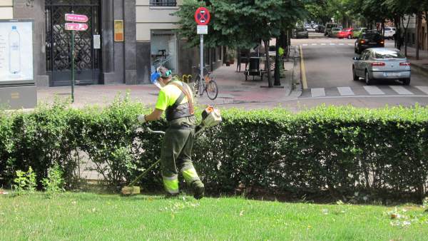 Trabajador de FCC Parques y Jardines de Zaragoza Trabajador de FCC Parques y Jardines de Zaragoza