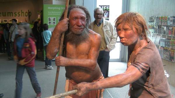 Neanderthales Neanderthales