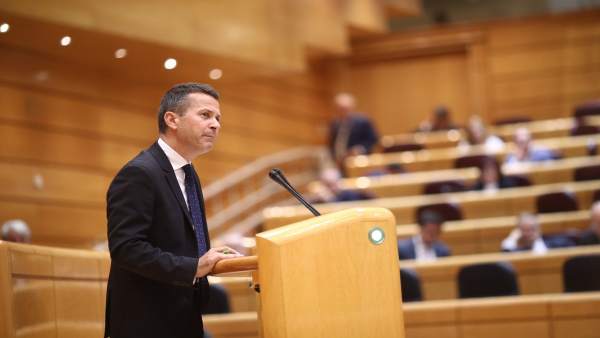 Jokin Bildarratz en el Pleno del Senado Jokin Bildarratz en el Pleno del Senado