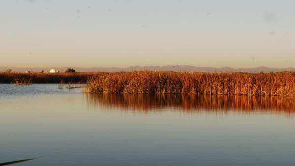 Imagen del lago de la Albufera Imagen del lago de la Albufera