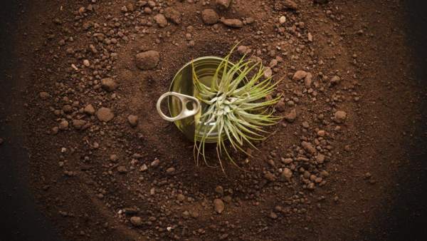 Fotografía de Gisela Aguilar Benítez. Ganadora del segundo premio en la quinta edición del certamen Upcycling de Fotografía Fotografía de Gisela Aguilar Benítez. Ganadora del segundo premio en la quinta edición del certamen Upcycling de Fotografía