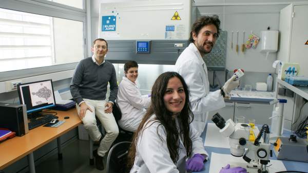 Investigadores implicados en el estudio Investigadores implicados en el estudio