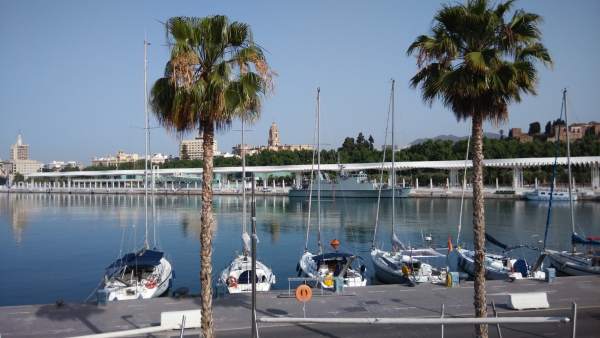 Atraque, muelle, barcos, náutico, turismo, turistas, palmeral, catedral, Málaga. Atraque, muelle, barcos, náutico, turismo, turistas, palmeral, catedral, Málaga.