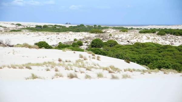 Doñana. Doñana.