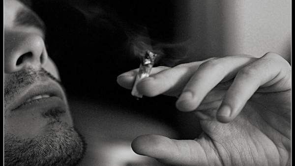 Porro, canuto Porro, canuto