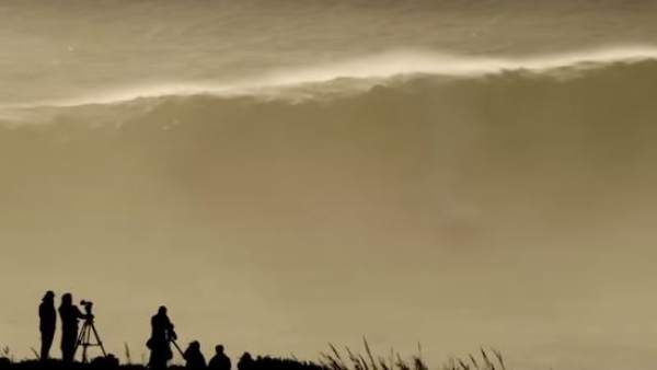 Surfero Surfero