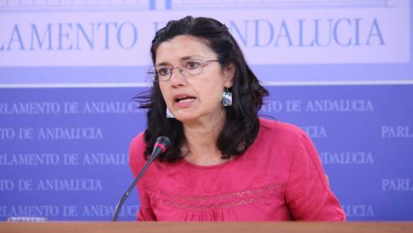 La parlamentaria de Podemos Carmen Molina La parlamentaria de Podemos Carmen Molina