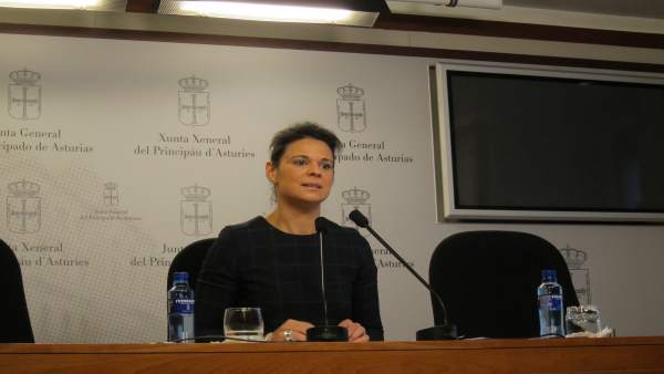 La diputada de Ciudadanos en la Junta General del Principado, Diana Sánchez La diputada de Ciudadanos en la Junta General del Principado, Diana Sánchez