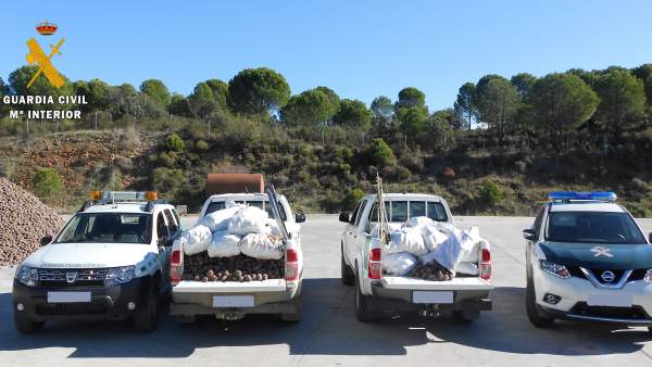 Vehículos con las piñas recuperadas en Villaviciosa Vehículos con las piñas recuperadas en Villaviciosa