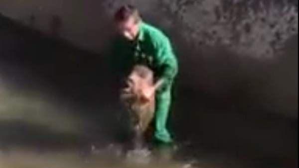 Video difundido por la entidad ecologista AnimaNaturalis que ha permitido identificar al hombre que en las imágenes maltrata a un pequeño jabalí. Video difundido por la entidad ecologista AnimaNaturalis que ha permitido identificar al hombre que en las imágenes maltrata a un pequeño jabalí.