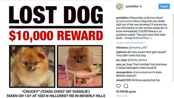 Paris Hilton busca al perro de un amigo Paris Hilton busca al perro de un amigo