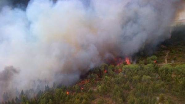 Declarado activo un incendio en el término municipal de Bollullos de la Mitación Declarado activo un incendio en el término municipal de Bollullos de la Mitación