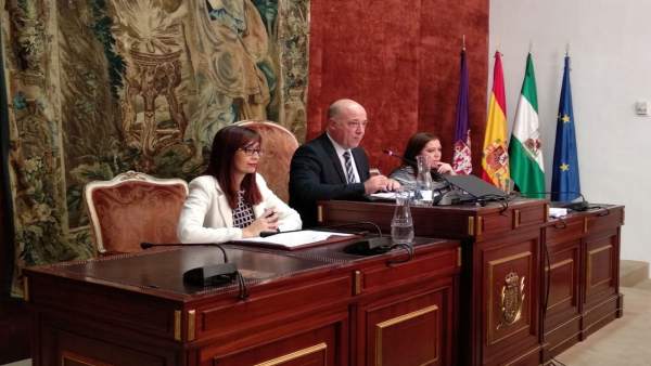 Antonio Ruiz preside el Pleno de la Diputación Antonio Ruiz preside el Pleno de la Diputación