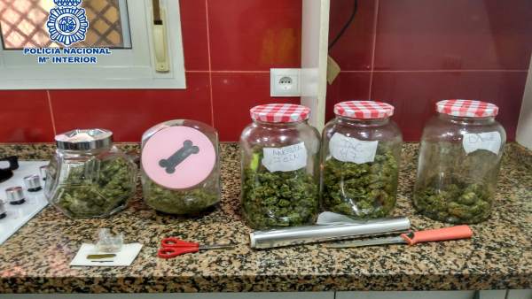Droga incautada velez familia Droga incautada velez familia