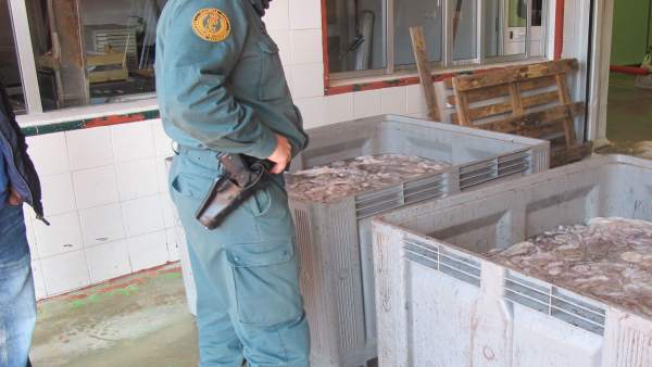 Remitiendo Np Opc Huelva 'Intervenidos 860 Kg. De Pulpo Sin Etiquetar' Remitiendo Np Opc Huelva 'Intervenidos 860 Kg. De Pulpo Sin Etiquetar'