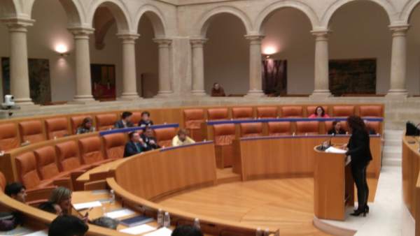 Intervención de la portavoz de Podemos, Ana Carmen Sáinz Intervención de la portavoz de Podemos, Ana Carmen Sáinz