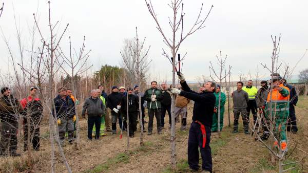 Curso de poda en el vivero de la Diputación de Huesca Curso de poda en el vivero de la Diputación de Huesca