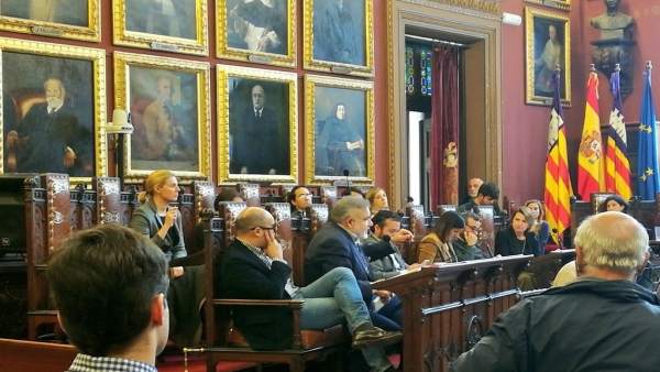 Los regidores de Cs Palma en el pleno Los regidores de Cs Palma en el pleno