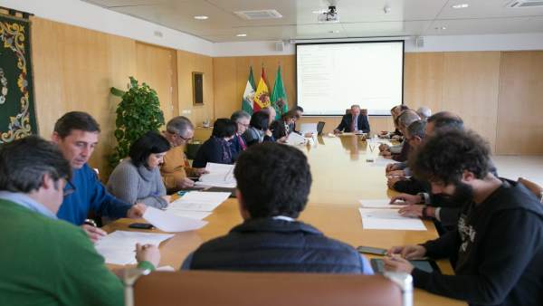 Consejo rector Opaef Consejo rector Opaef