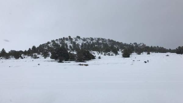 Nieve, nevada, frío, temporal Nieve, nevada, frío, temporal