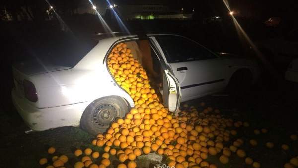 Naranjas robadas intervenidas por la Policía Local Naranjas robadas intervenidas por la Policía Local