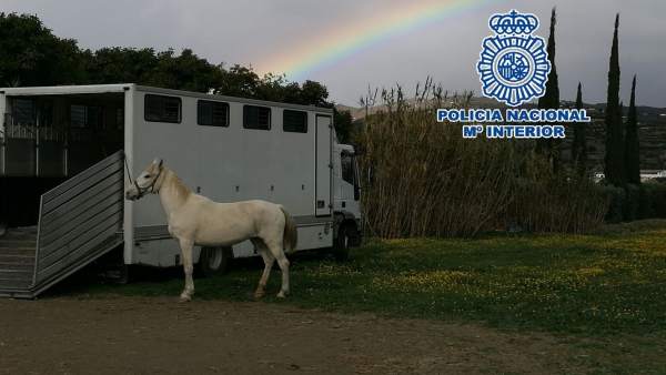 Policía Nacional Nota De Prensa Con Enlace De Vídeo Y Foto 'La Policía Nacional Policía Nacional Nota De Prensa Con Enlace De Vídeo Y Foto 'La Policía Nacional